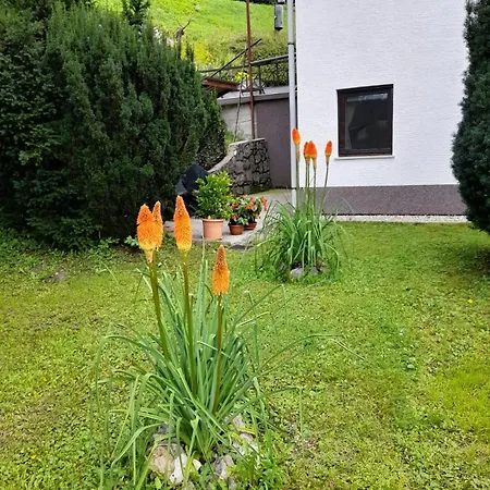 Lejlighed Gogo Delnice