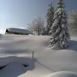 Gogo