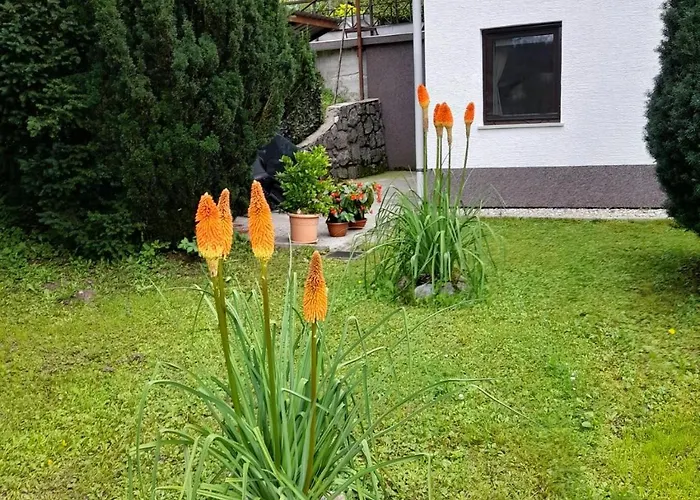 Apartman Gogo Delnice